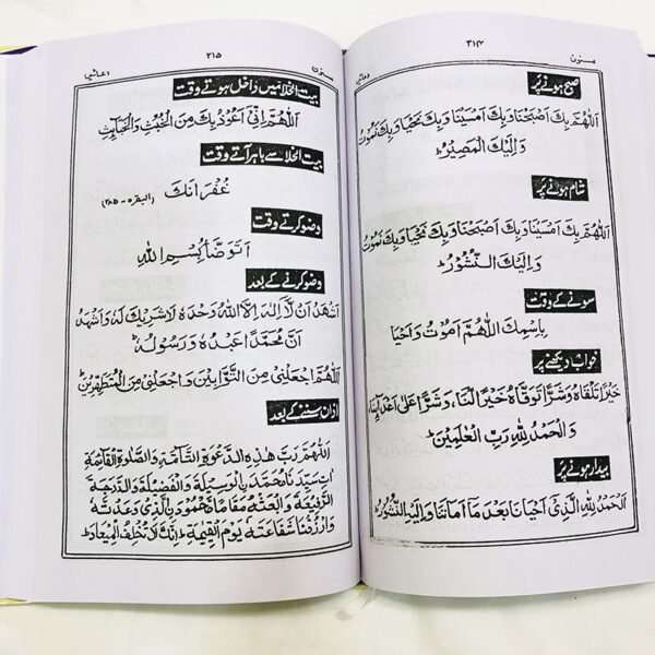 Urdu Pakistani Panj Surah - Image 5