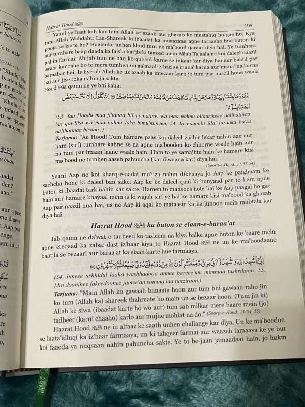Stories of the prophets- Roman English - Image 8