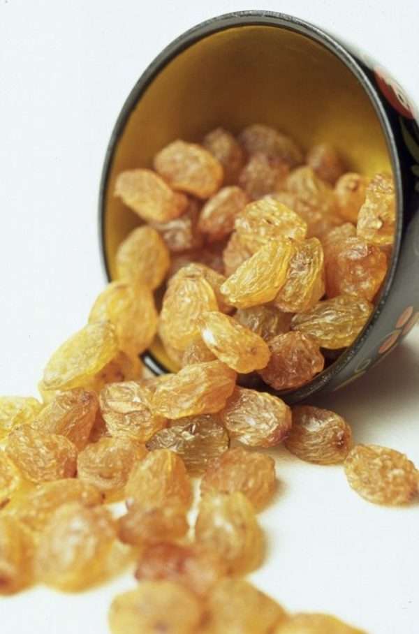 Dry fruits jar - Image 5